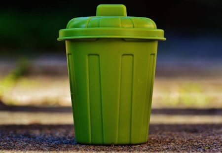 Green Waste Bins: What Are The Options In Brisbane?