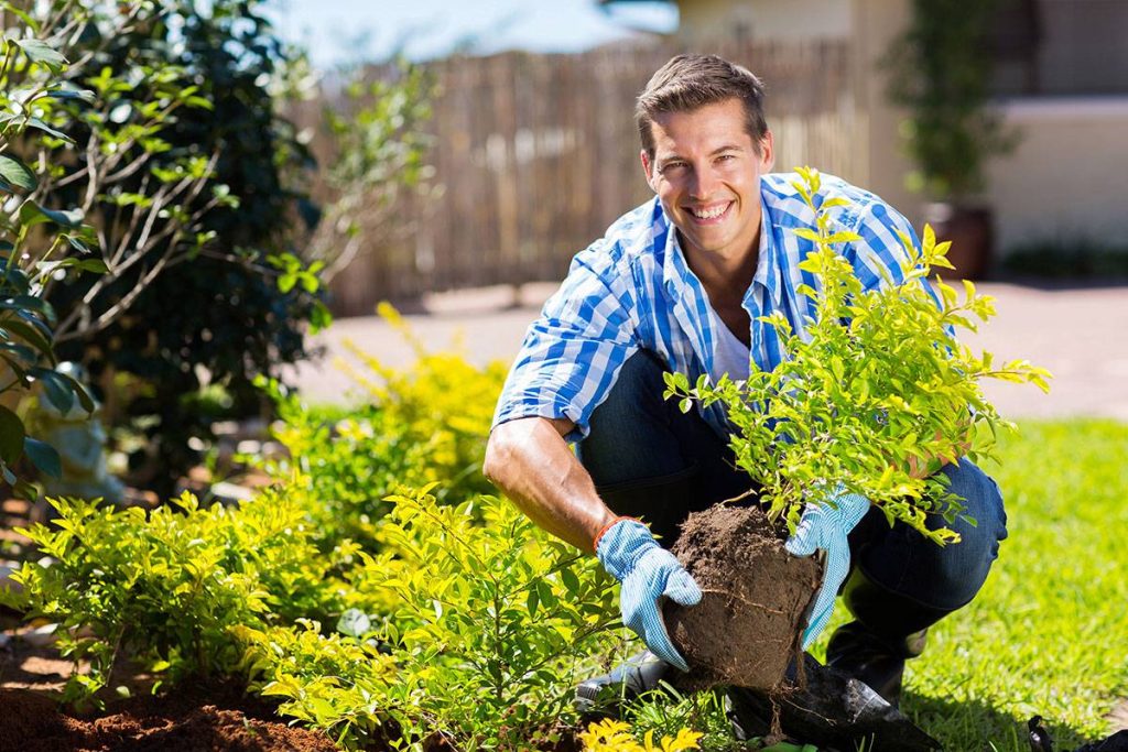 4 reasons to maintain your garden