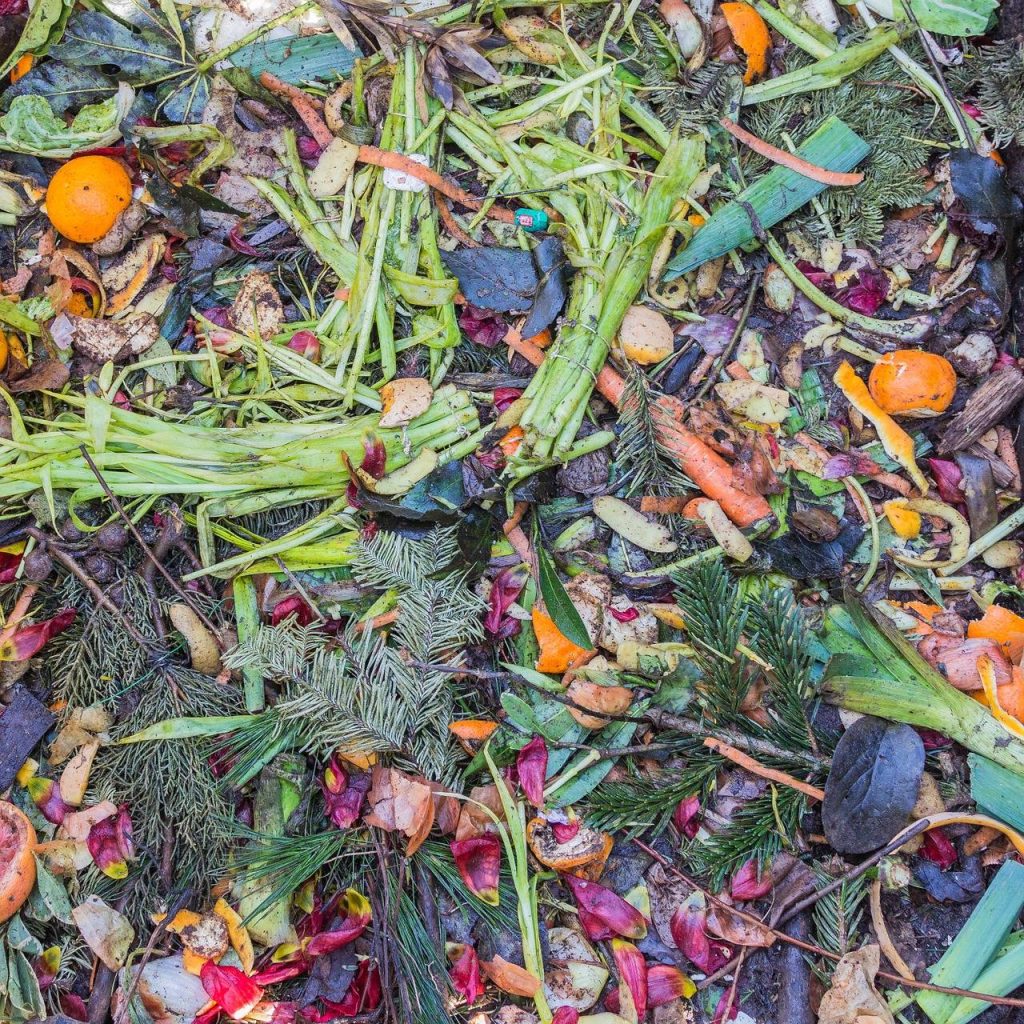 4 Myths About Green Waste