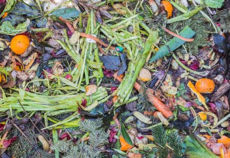 Green Waste: Your Frequently Asked Questions, Answered!