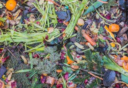 4 Myths About Green Waste