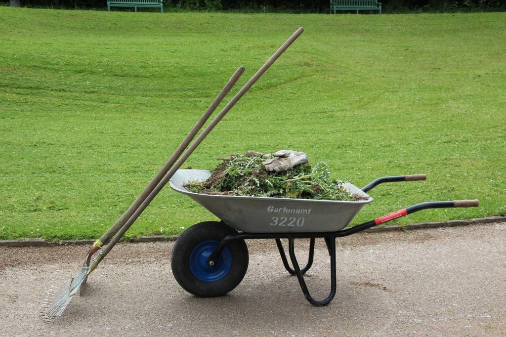 Green Waste Removal FAQs