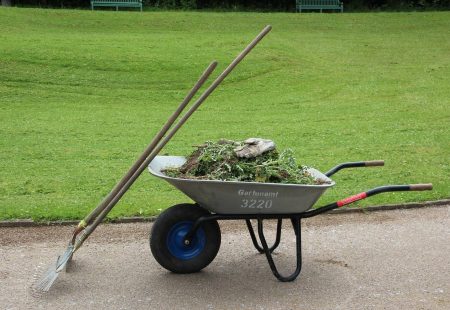 Green Waste Removal FAQs