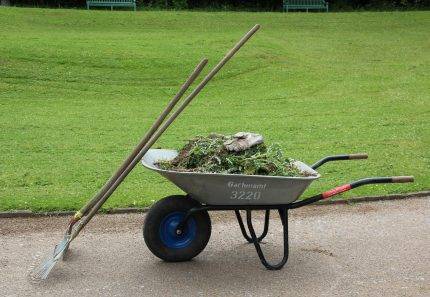 Green waste removal FAQs