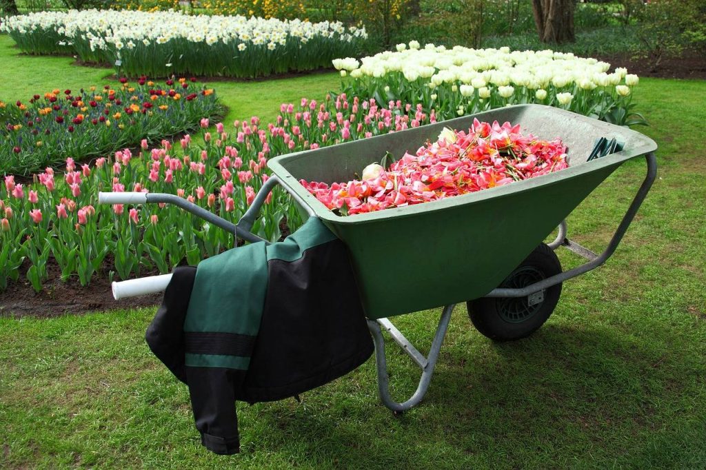 Tips For Your Spring Garden Clean Up