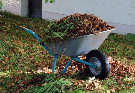 4 Ways to Remove Garden Waste