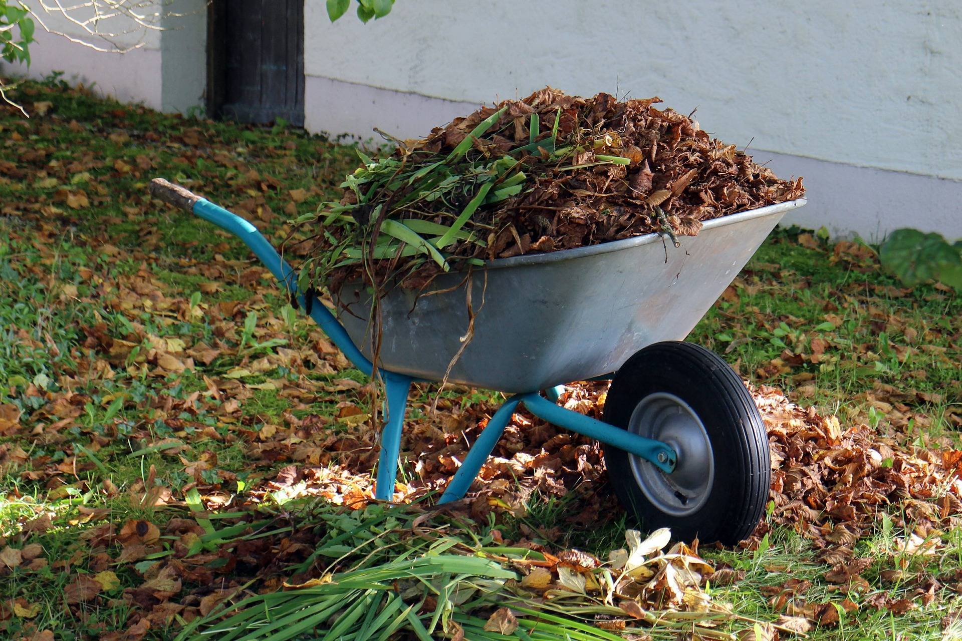 4 Ways to Remove Garden Waste - 4 Waste Removals