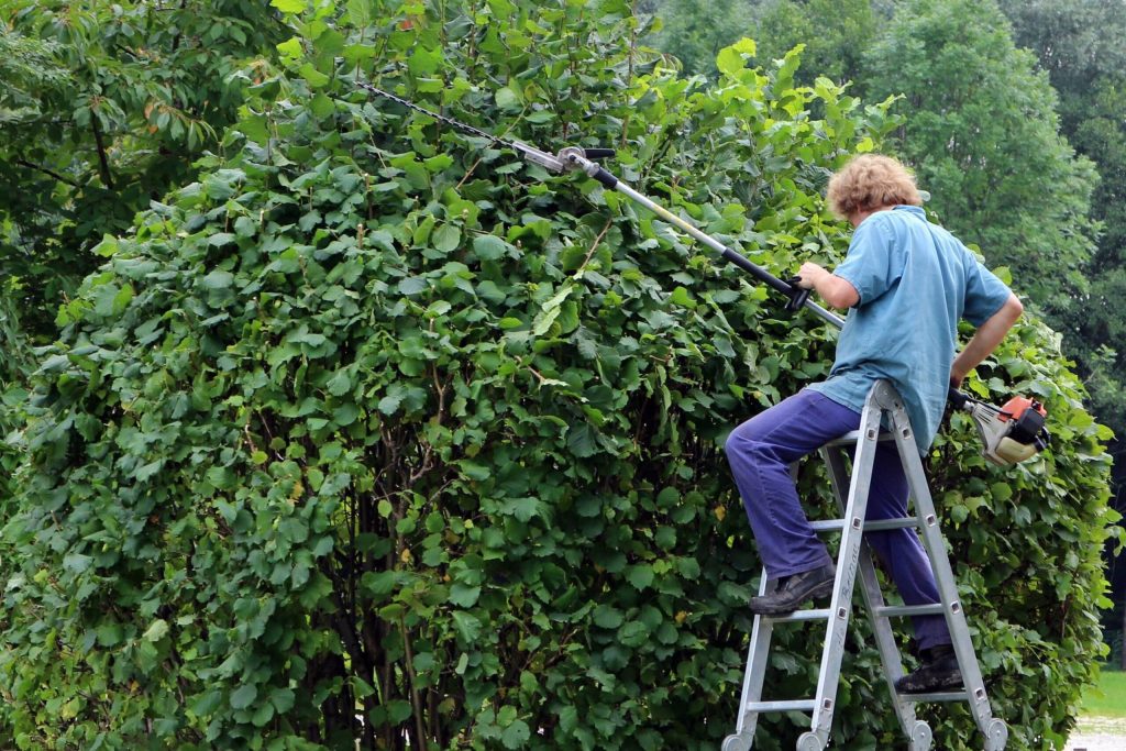 The Yey And Ney Of Green Waste Removal