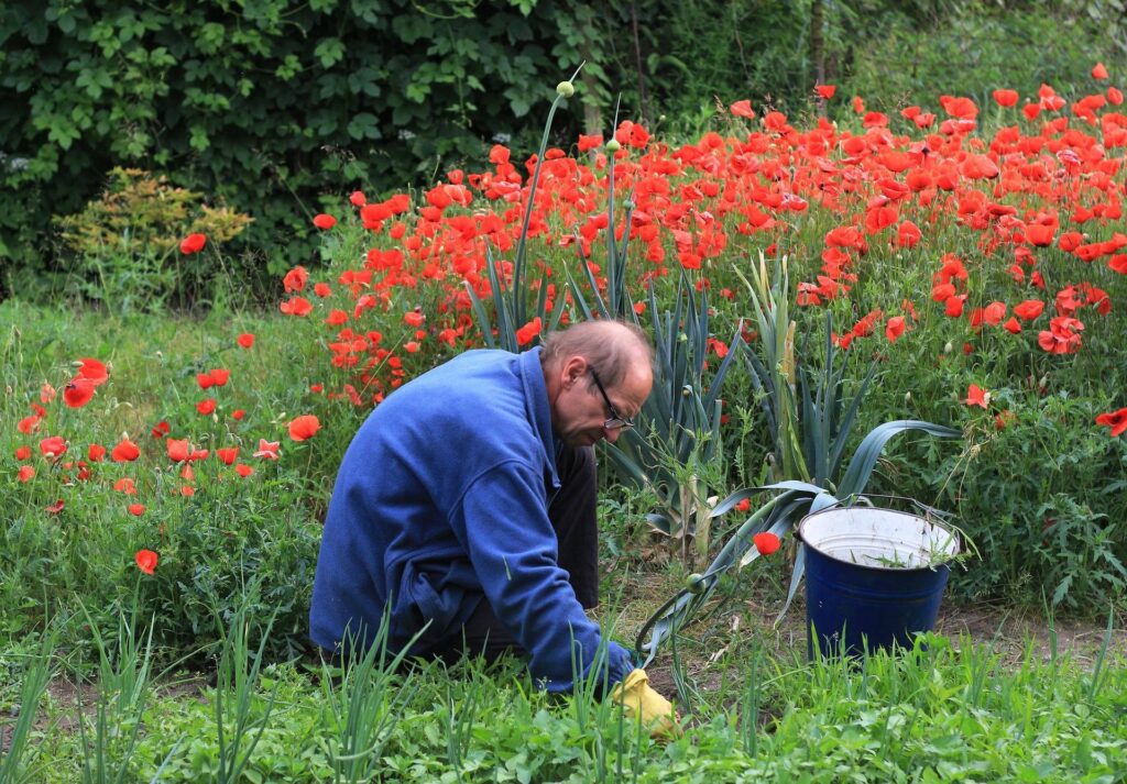 prepare your flower beds