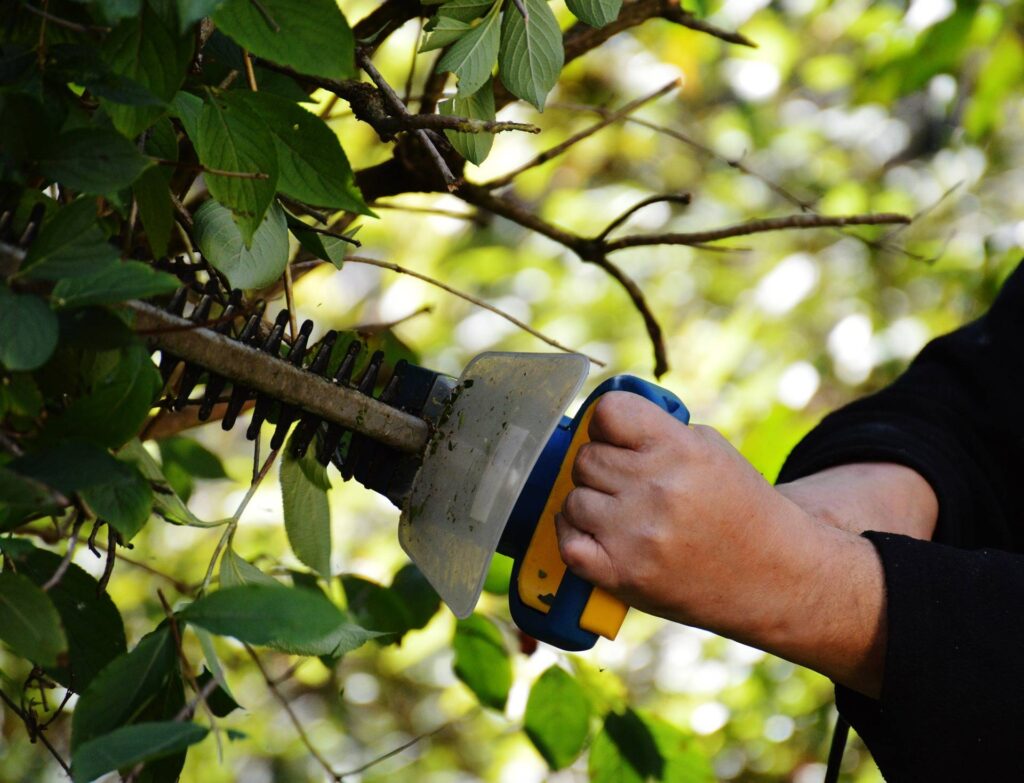 spring garden clean up