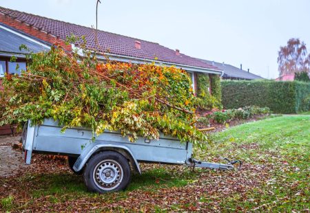 4 Legit Reasons To Hire A Garden Skip Bin NOW!