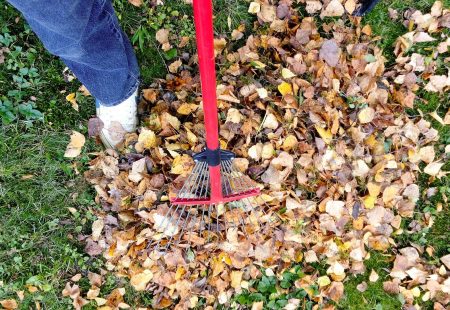 How To Get The Best Use Out Of Your Green Waste Collection Service