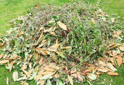 The Most Useful Tools for Green Waste Removal