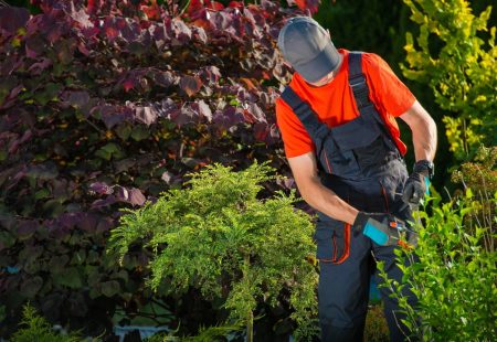 Top 5 Questions About Garden Waste Removal In Brisbane