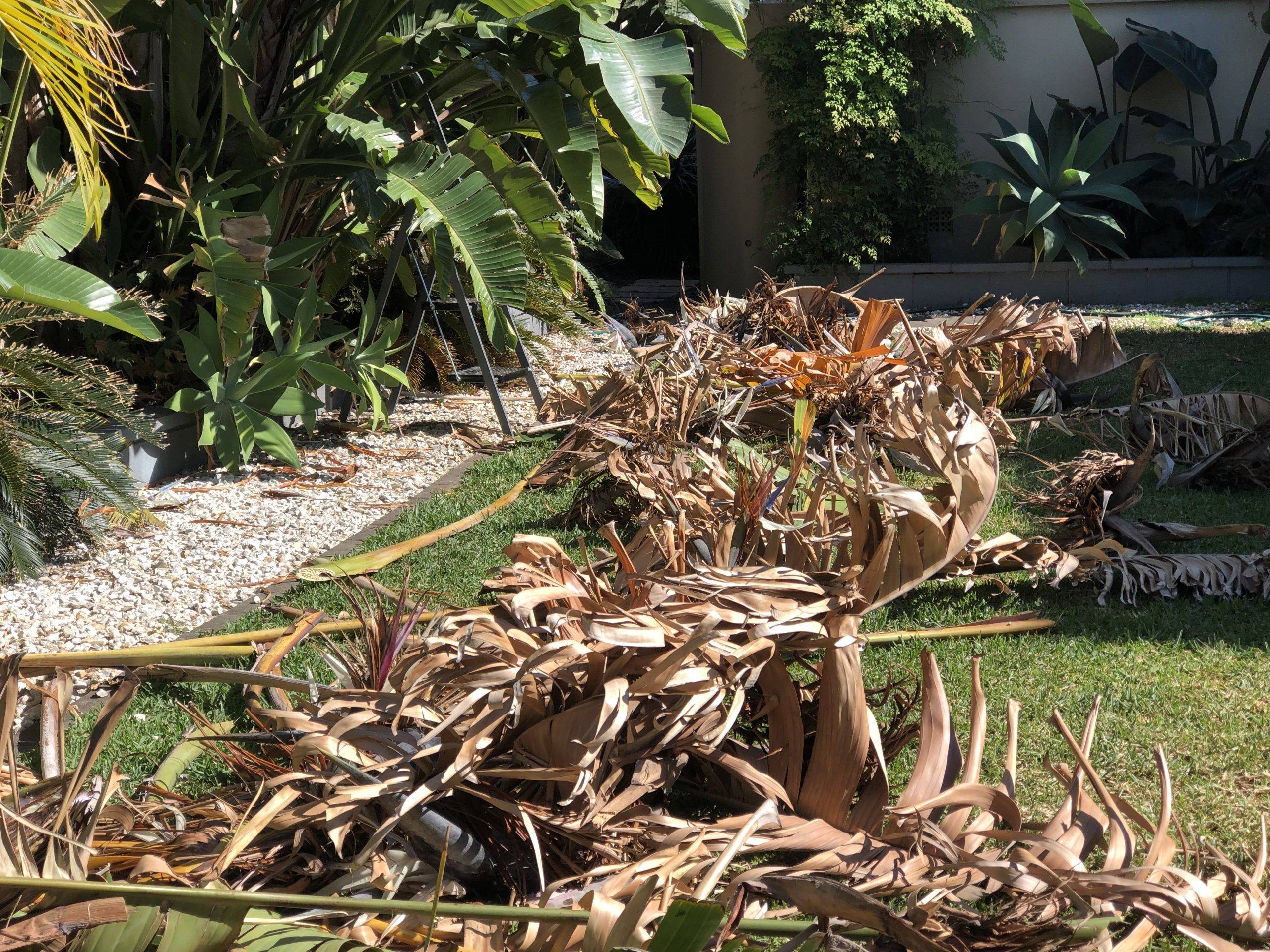 The Ultimate Green Waste Removal Guide For Brisbane