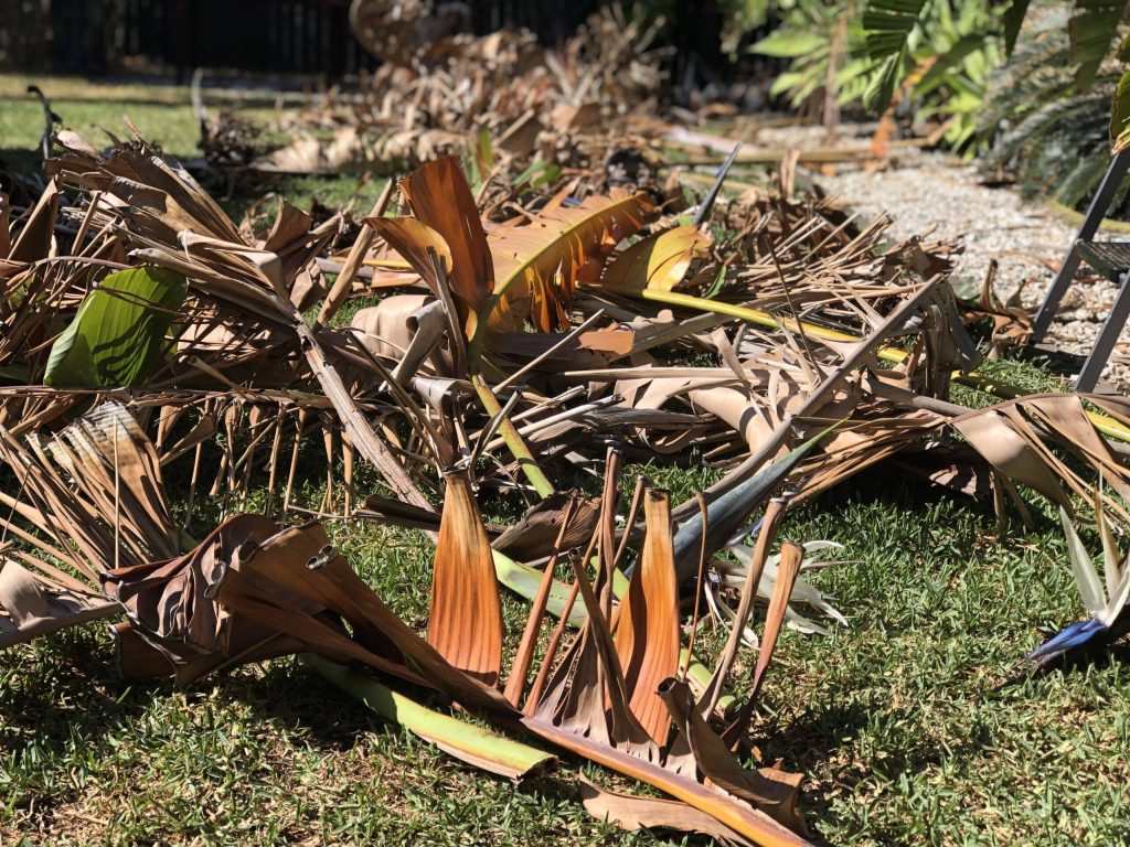 Skip Bins For Garden Clean Ups