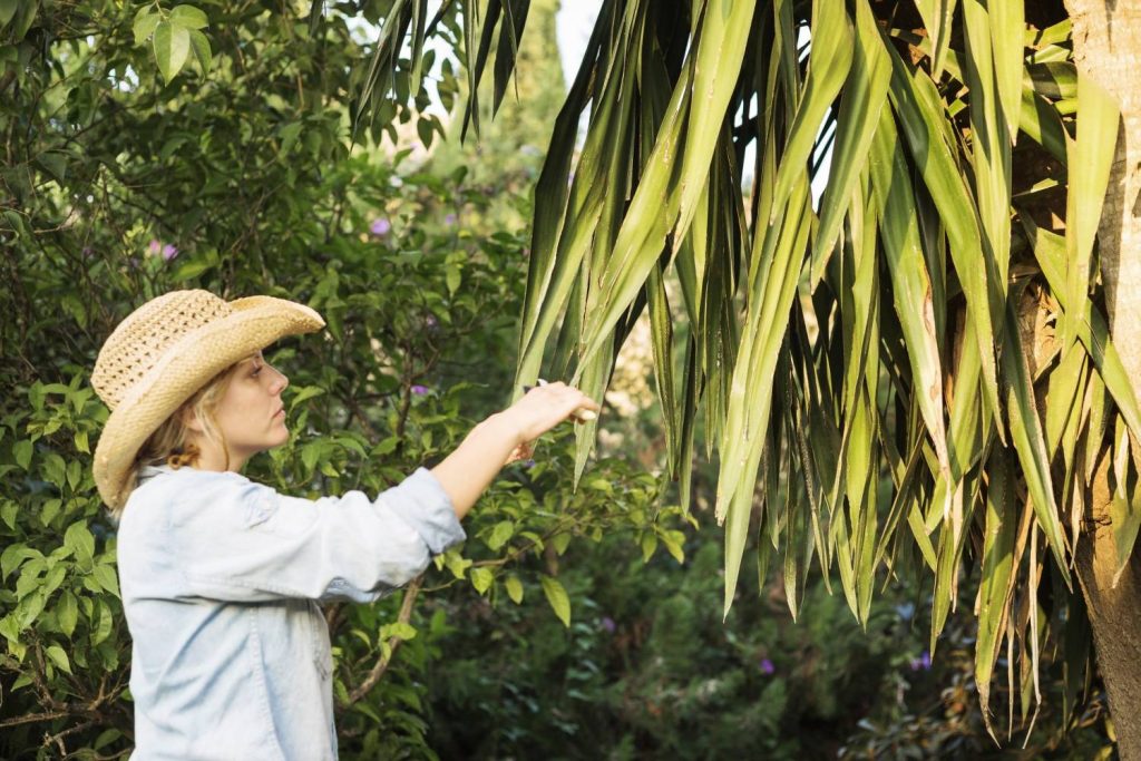 How To Get Started With Green Rubbish Removal