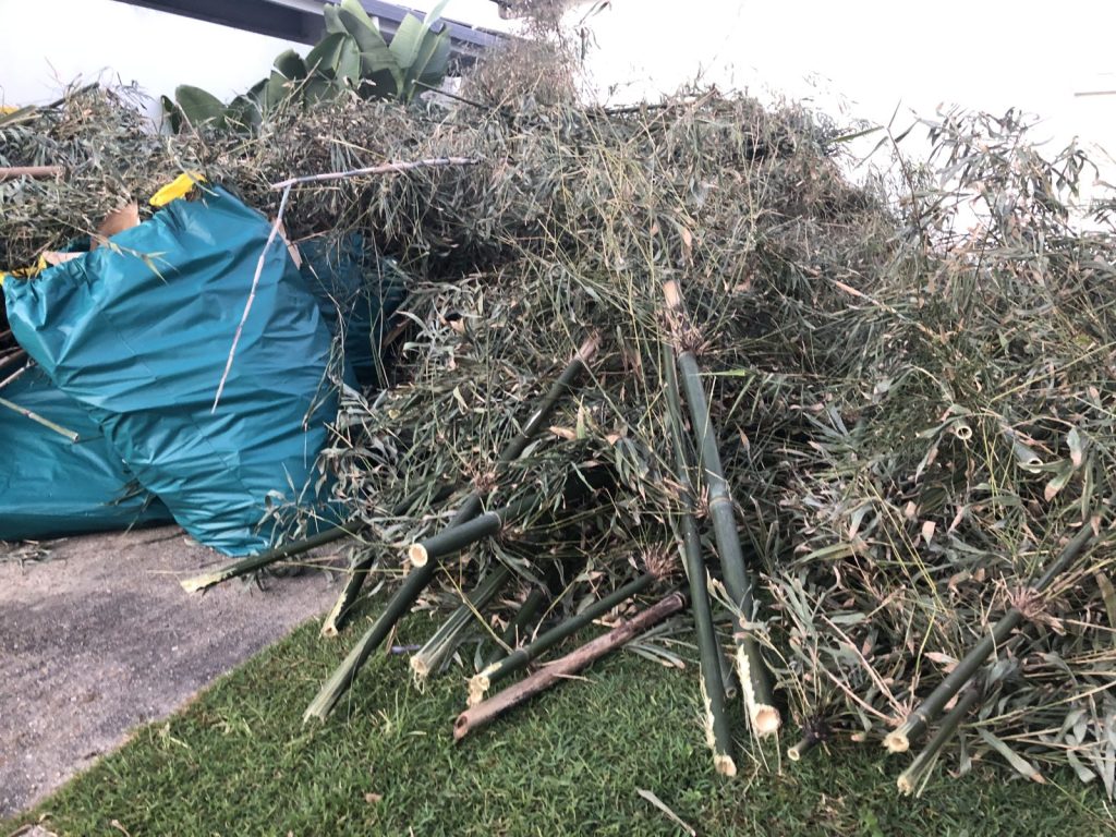 Eco-Friendly Garden Waste Disposal: 4 Waste Removals’ Garden Skip Bins and Garden Bins and Bags